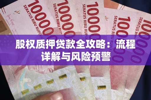 北京股权质押贷款全攻略：流程详解与风险预警