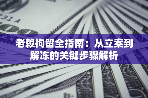 北京老赖拘留全指南：从立案到解冻的关键步骤解析