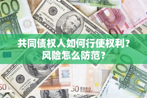 北京共同债权人如何行使权利？风险怎么防范？