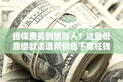 北京担保费贵到想骂人？这些低息借款渠道帮你省下冤枉钱