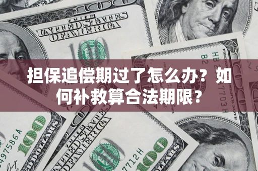 北京担保追偿期过了怎么办？如何补救算合法期限？