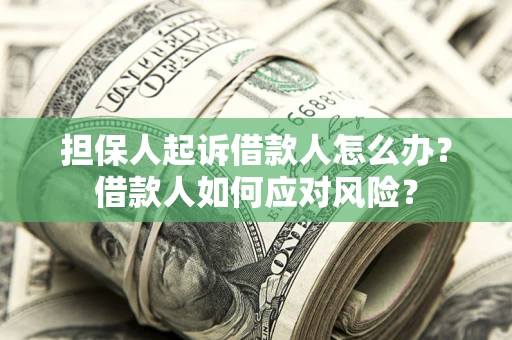 北京担保人起诉借款人怎么办？借款人如何应对风险？